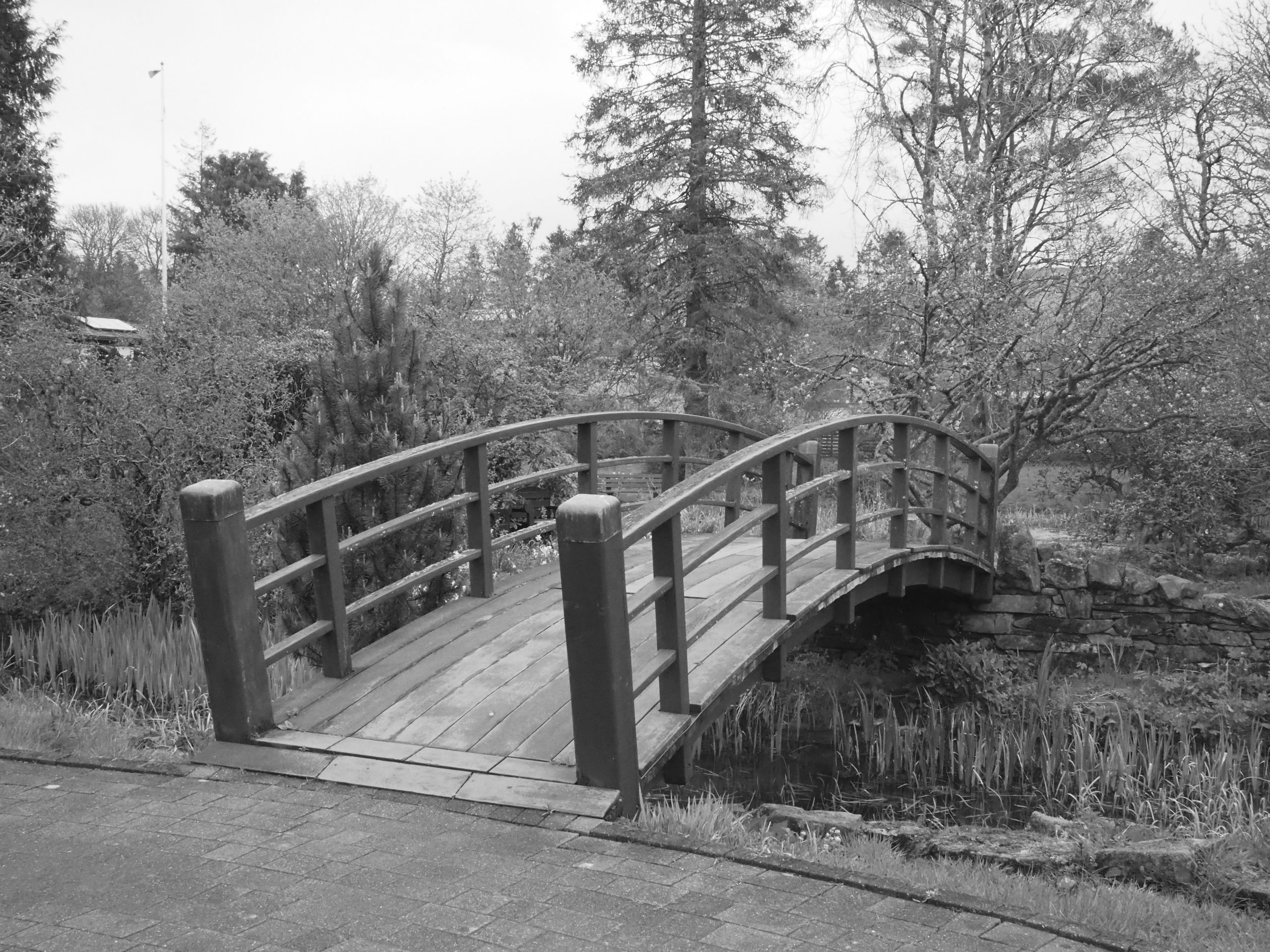 Bridge to Freedom